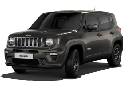Jeep Renegade Plug-in